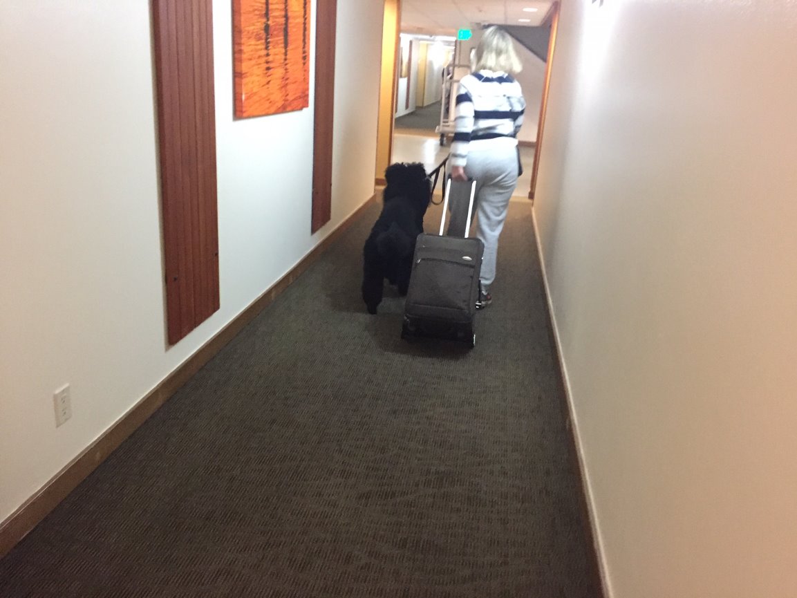 When Teresa called me