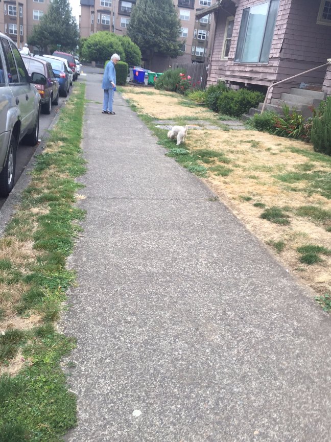 When Teresa called me