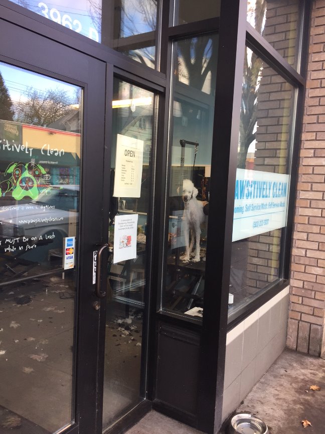 When Teresa called me