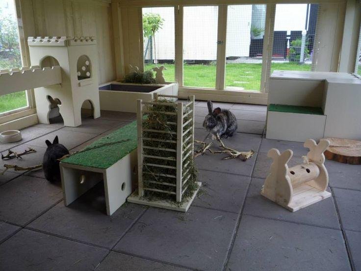 Indoor rabbit clearance play area