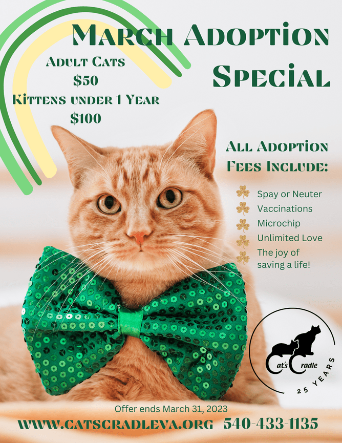 Cat's Cradle Animal Rescue Harrisonburg, VA