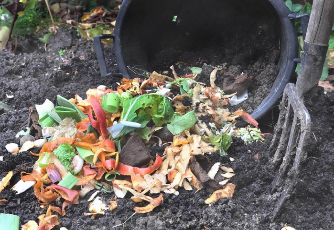 Fall 2020 MFA Colloquium Series Campus Compost Greensboro Project Space