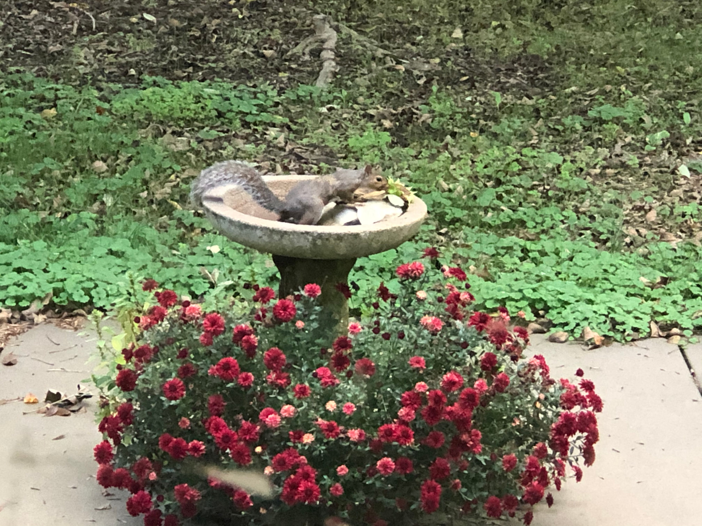 to Whitsett Town Hall Whitsett, NC